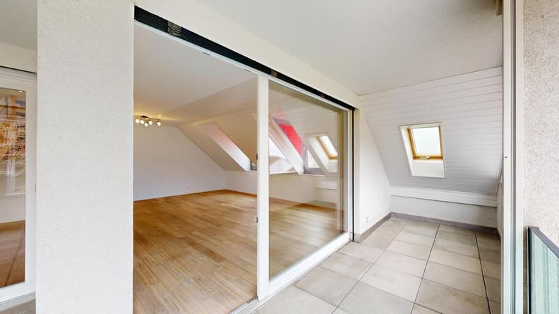 25 33 Magnifique attique en duplex avec terrasse (13)