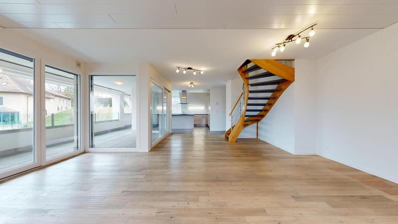 25 33 Magnifique attique en duplex avec terrasse (6)