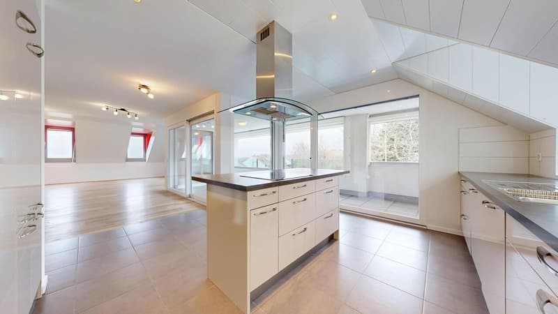 25 33 Magnifique attique en duplex avec terrasse (7)