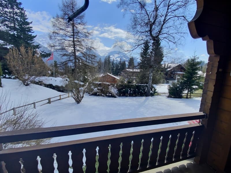 Chalet spacieux sur belle parcelle verdoyante à plat (9)