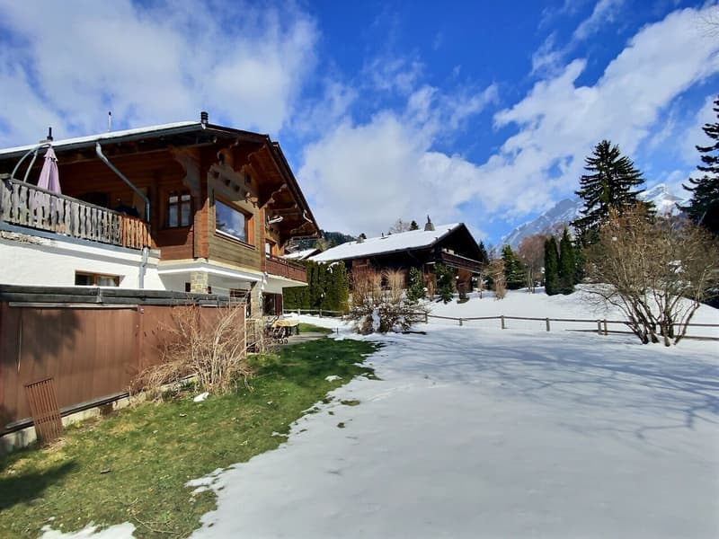 Chalet spacieux sur belle parcelle verdoyante à plat (13)