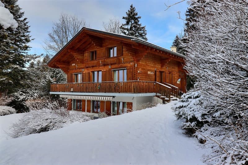 Magnifique chalet dans un écrin de verdure (1)