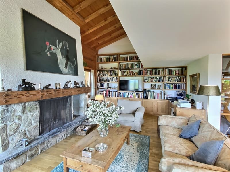 Magnifique chalet dans un écrin de verdure (13)