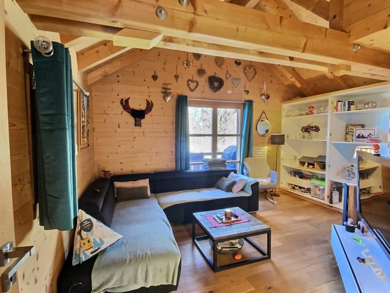 Un chalet luxueux en montagne à vendre à Villars-sur-Ollon. (5)