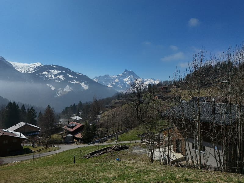Terrain à vendre à Gryon avec permis de construire (3)