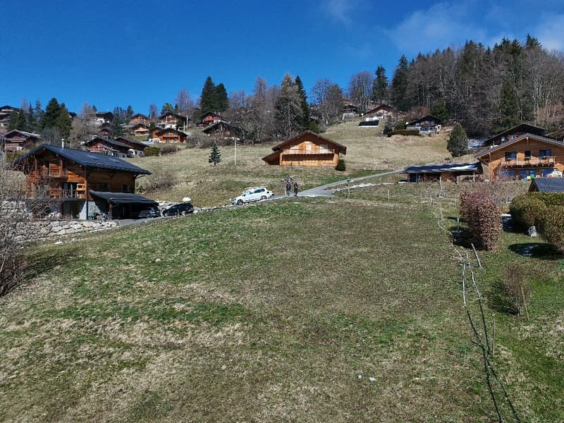 Terrain à vendre à Gryon avec permis de construire (4)