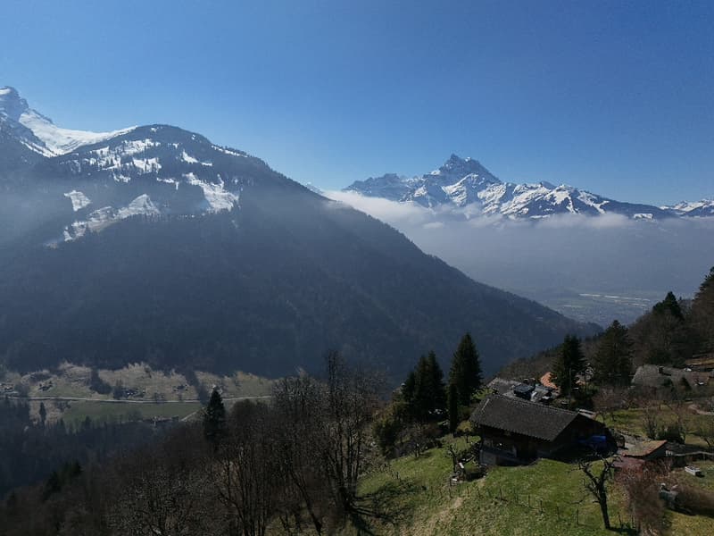 Terrain à vendre à Gryon avec permis de construire (7)
