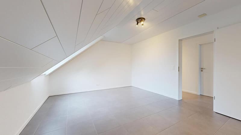 25 33 Magnifique attique en duplex avec terrasse (9)