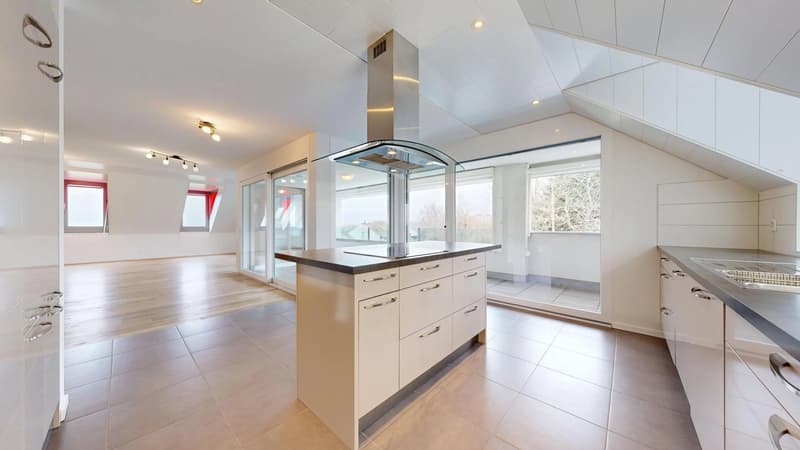 25 33 Magnifique attique en duplex avec terrasse (7)