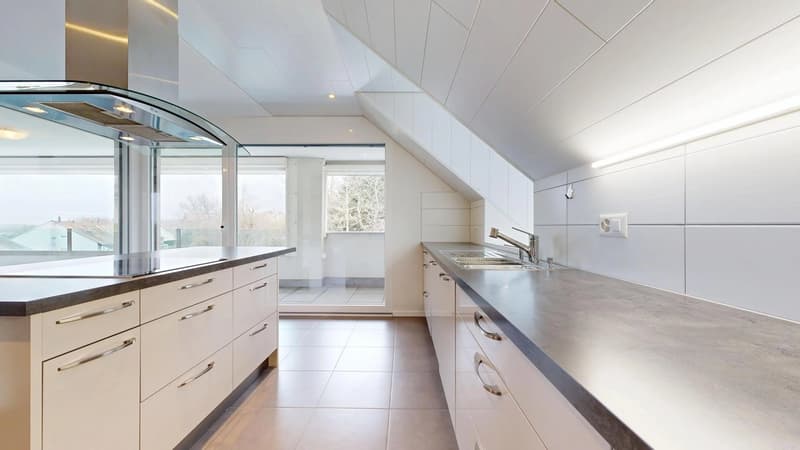 25 33 Magnifique attique en duplex avec terrasse (8)