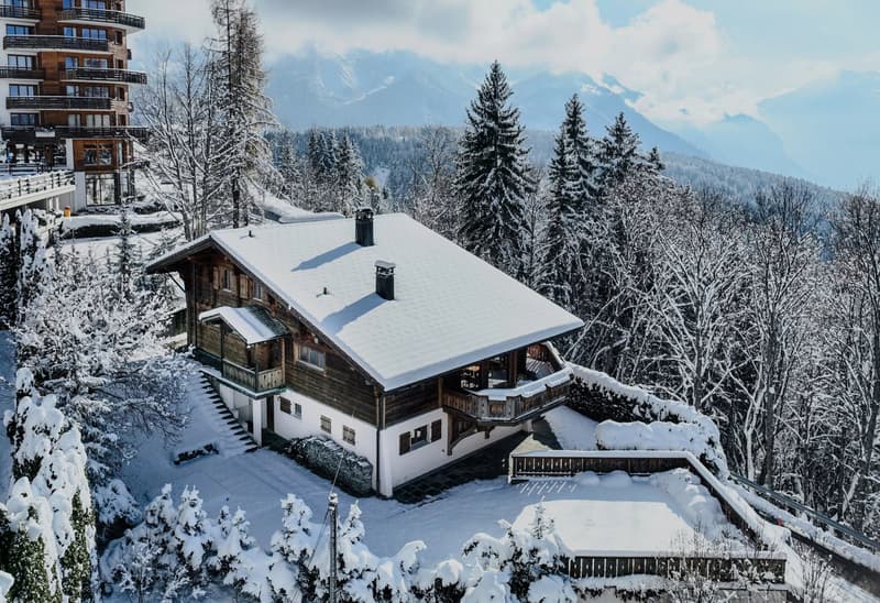 25 39 Chalet idéalement situé dans un style alpin tout confort (3)