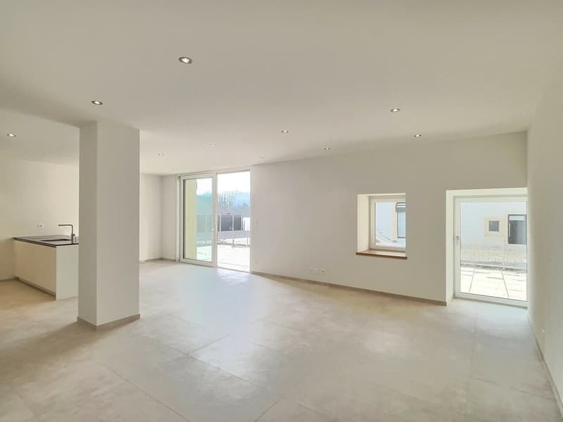 24 29 Magnifique appartement de 4.5 pièces au rez - Grande terrasse (1)
