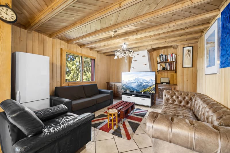 Duplex apartment with 5 rooms in the center of the village! (7)