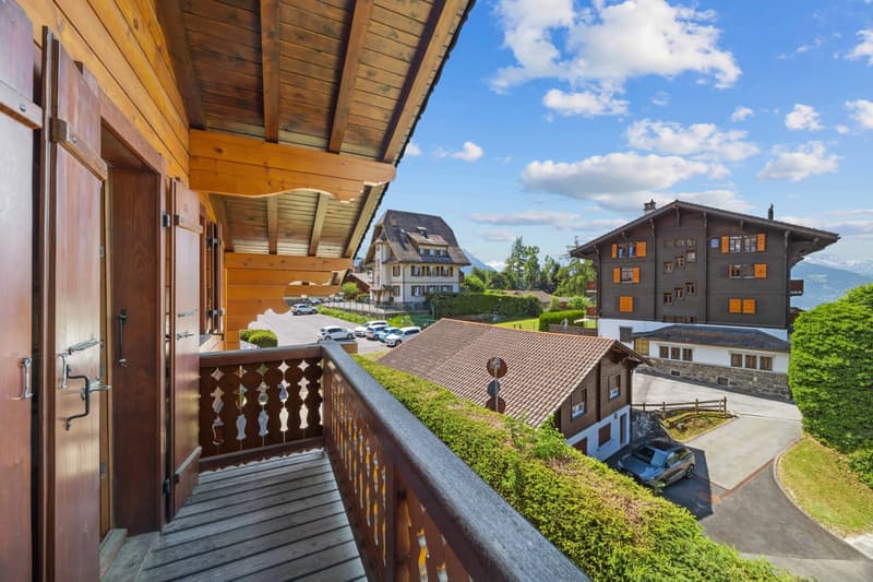 Duplex apartment with 5 rooms in the center of the village! (13)