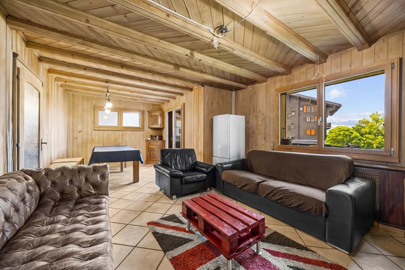 Duplex apartment with 5 rooms in the center of the village! (8)