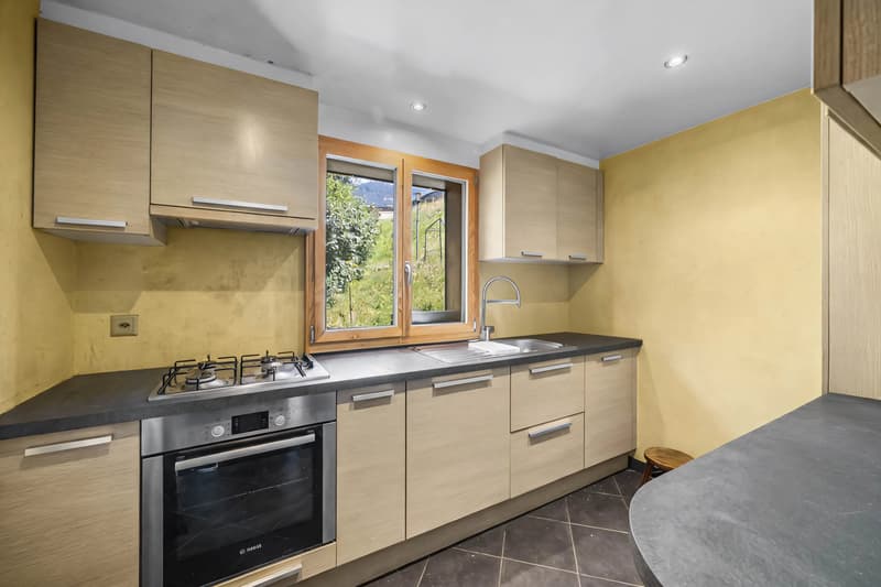 Duplex apartment with 5 rooms in the center of the village! (4)