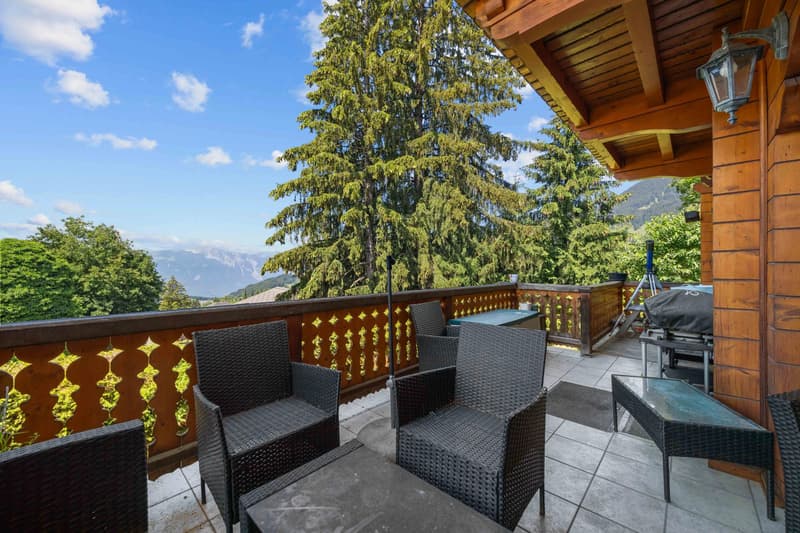 Duplex apartment with 5 rooms in the center of the village! (1)