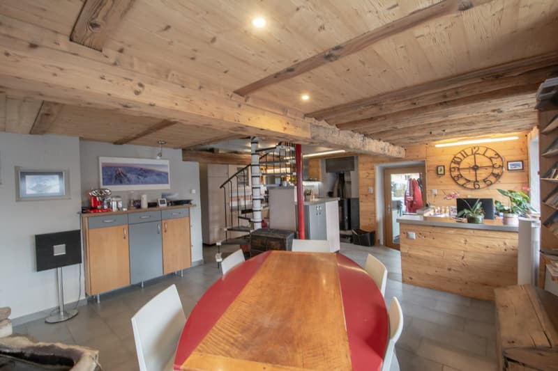 Grand chalet individuel avec un appartement de 3.5 pièces attenant (29)