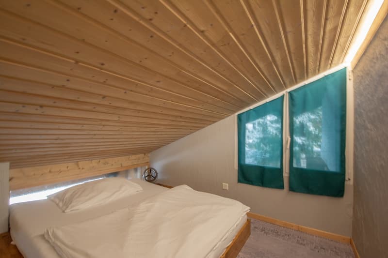 Grand chalet individuel avec un appartement de 3.5 pièces attenant (39)
