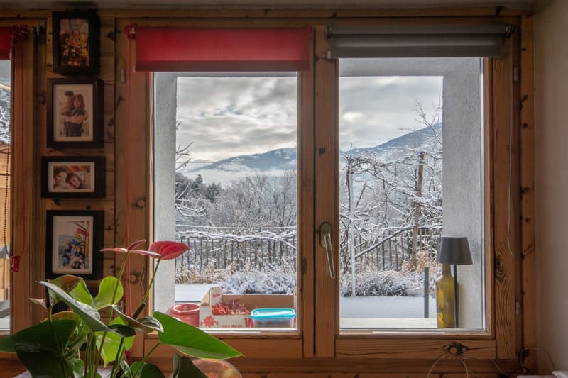 Grand chalet individuel avec un appartement de 3.5 pièces attenant (34)