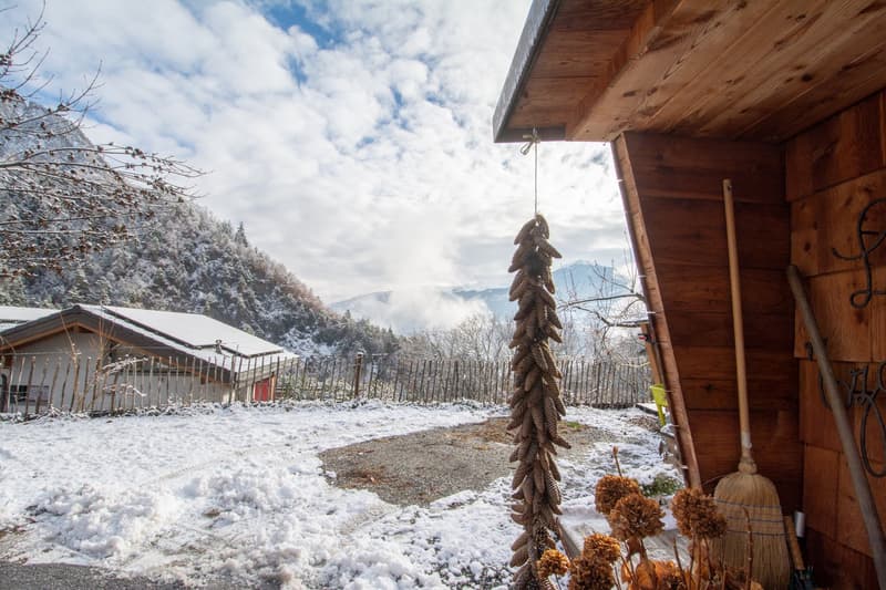 Grand chalet individuel avec un appartement de 3.5 pièces attenant (44)