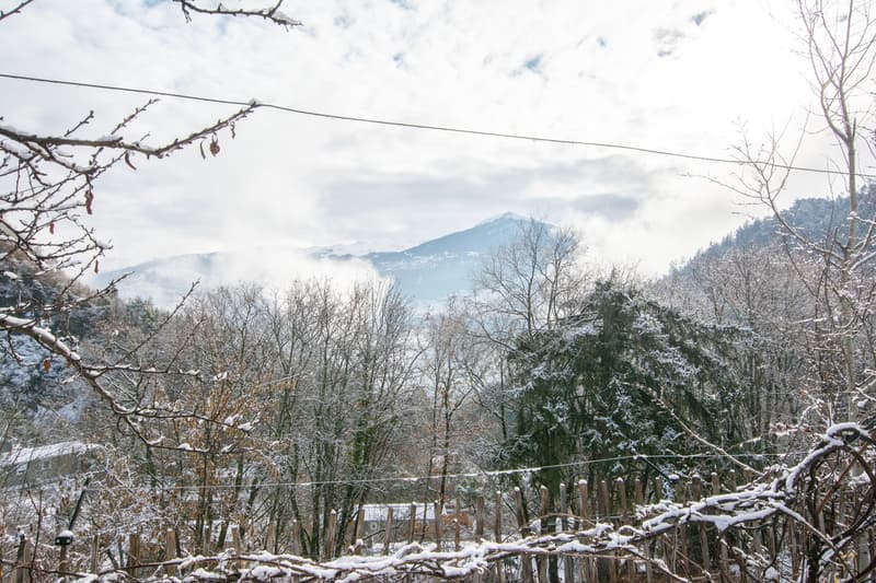 Grand chalet individuel avec un appartement de 3.5 pièces attenant (47)