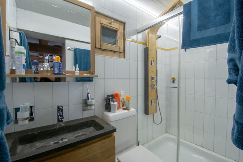 Grand chalet individuel avec un appartement de 3.5 pièces attenant (24)