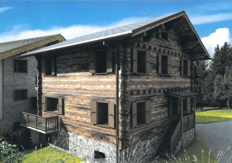 APPARTEMENT DUPLEX DE QUALITE AVEC SPA / RESIDENCE SECONDAIRE (2)