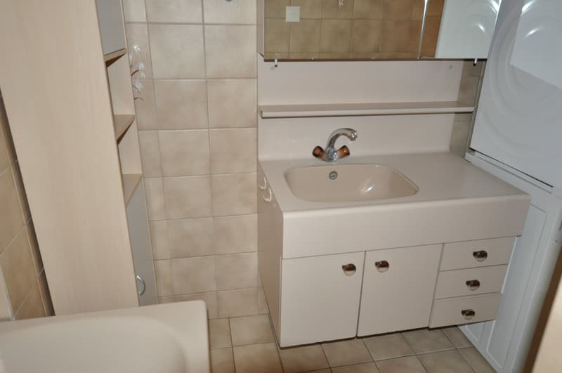 A louer spacieux appartement de 3 pièces avec cheminée à Avenches (7)