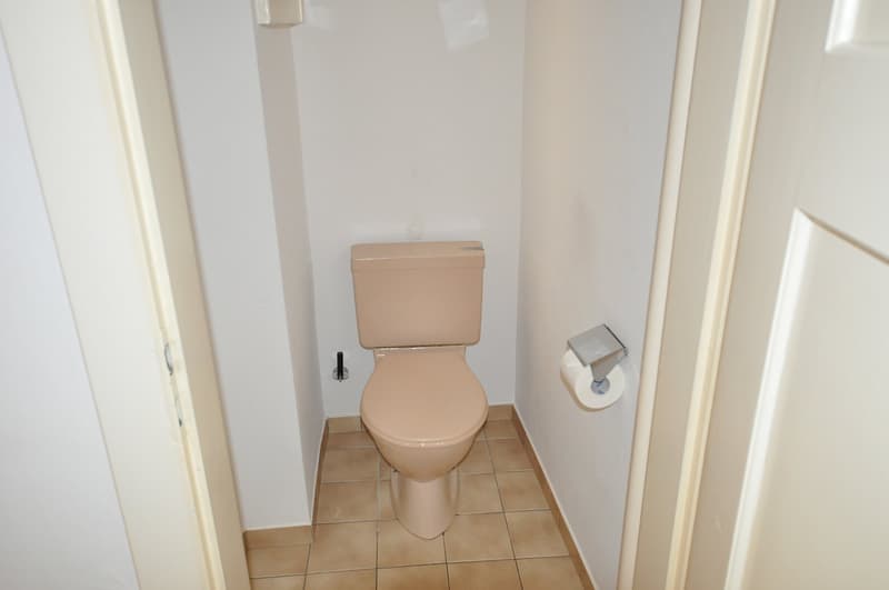A louer spacieux appartement de 3 pièces avec cheminée à Avenches (8)