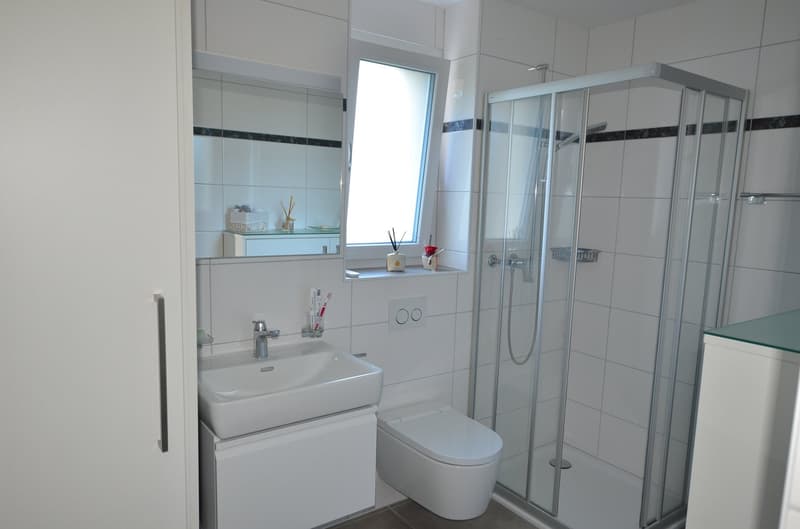 Magnifique appartement 4,5 pièces rez de jardin à Avenches (14)
