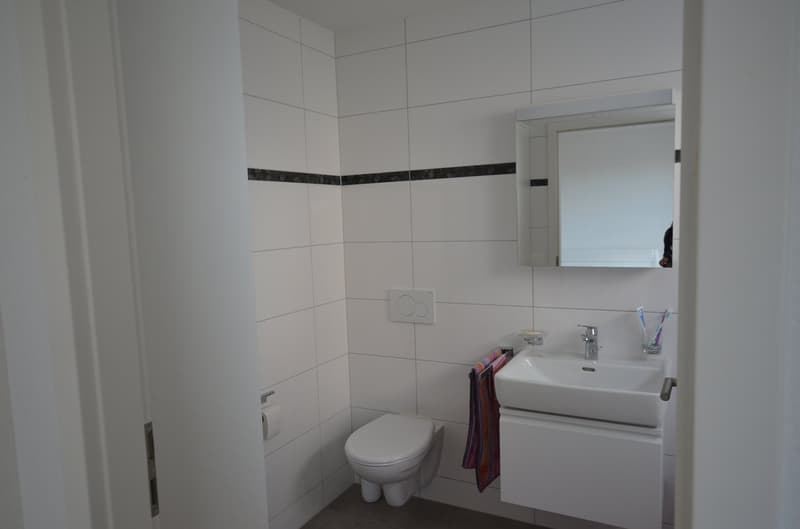 Magnifique appartement 4,5 pièces rez de jardin à Avenches (16)