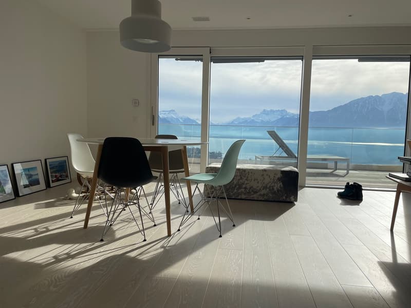 Magnifique appartement avec vue sur le lac (1)