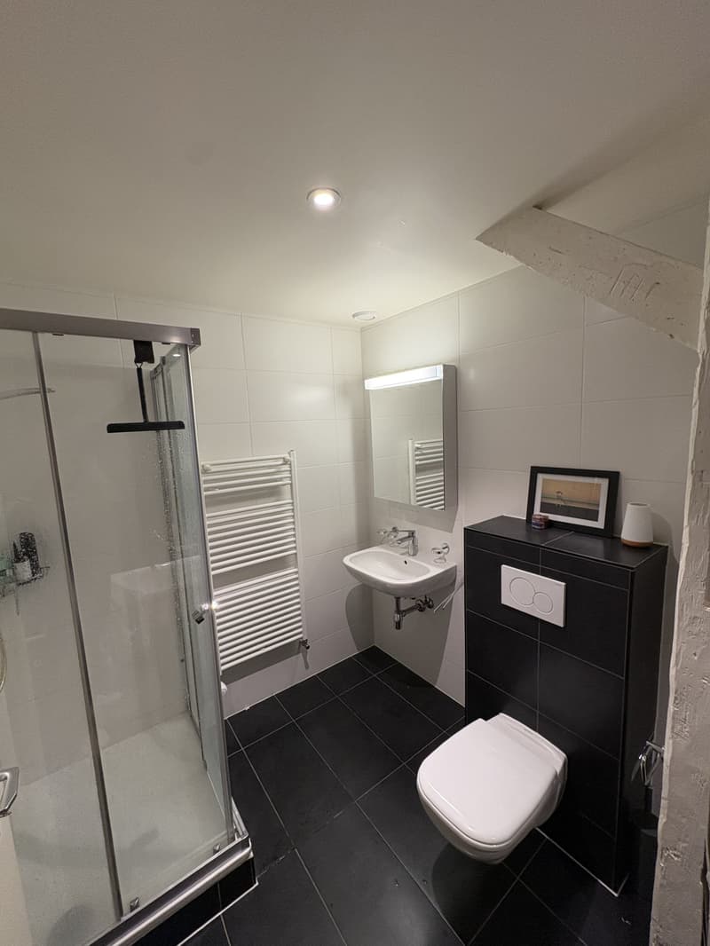 Magnifique appartement de 2,5 pièces au 4ème étage à Lausanne (9)