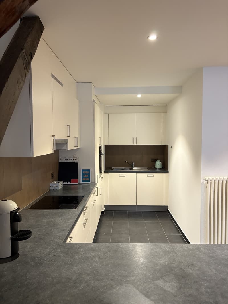 Magnifique appartement de 2,5 pièces au 4ème étage à Lausanne (5)
