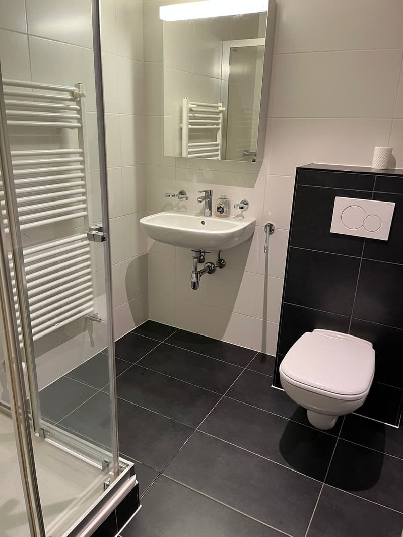 Magnifique appartement de 2,5 pièces au 4ème étage à Lausanne (8)