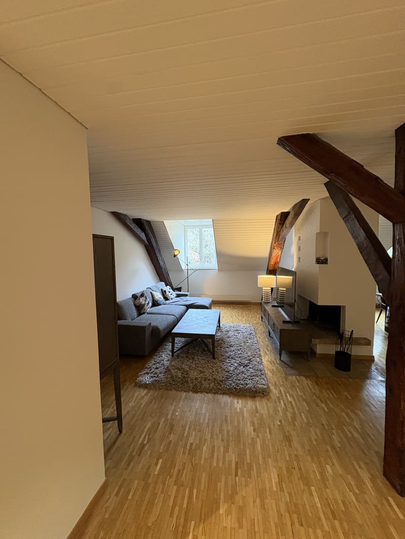 Magnifique appartement de 2,5 pièces au 4ème étage à Lausanne (3)