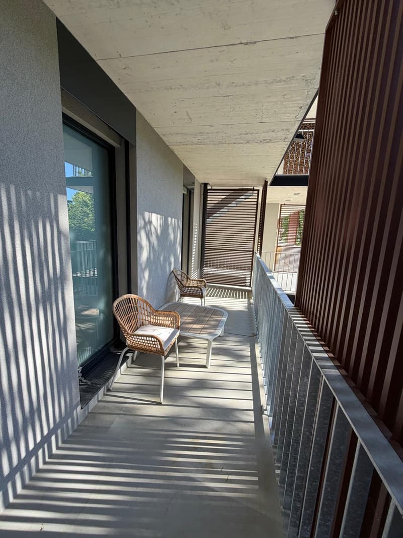Duplex 4 pièces moderne à Bellevue – Neuf et au calme (6)