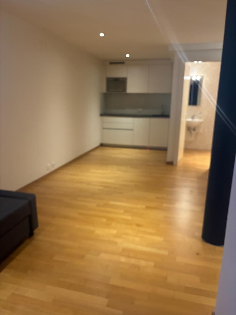Dépendancede 33 m² équipé d'une cuisine et une salle d’eau (1)