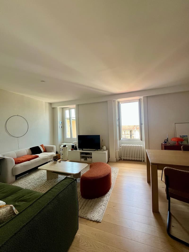 Charmant appartement proche du parc Valency (1)