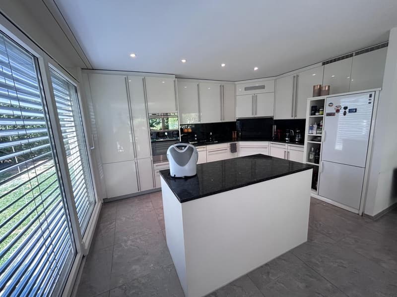 Spacious 6-Room Family House for Rent in Küsnacht (5)