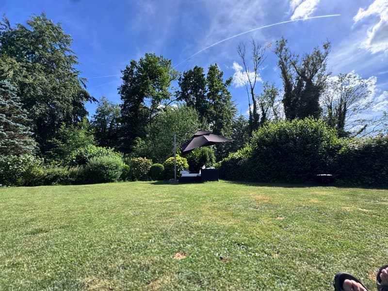 Spacious 6-Room Family House for Rent in Küsnacht (12)