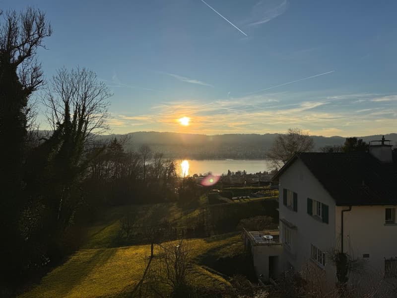 Spacious 6-Room Family House for Rent in Küsnacht (1)