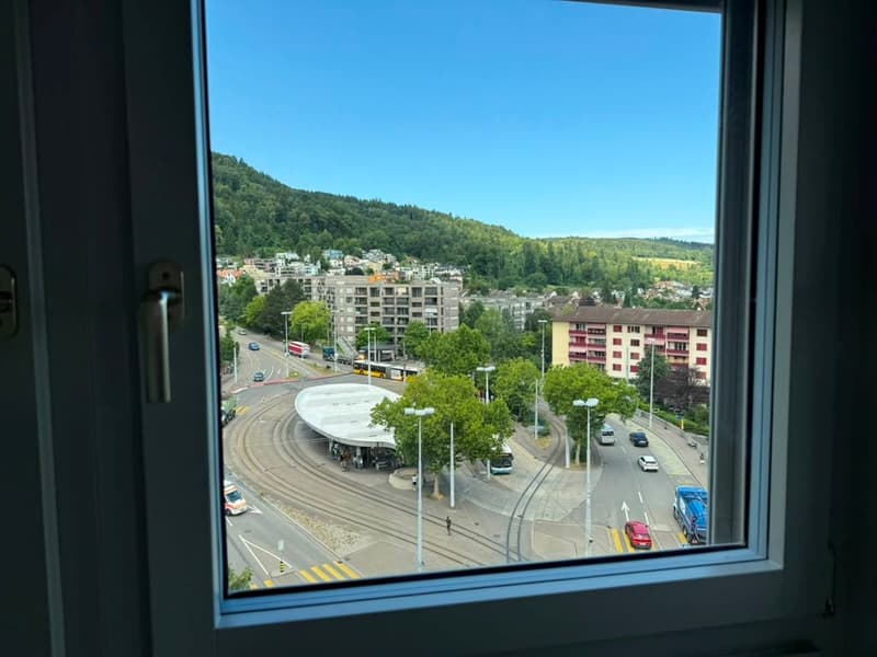 Stylish 2.5 room Loft - Apartment on the 9th Floor in Zürich-Triemli (12)