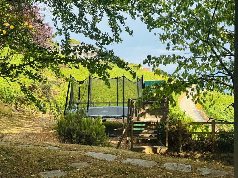 Lumineuse villa de standing dans cadre d’exception à Grandvaux, avec vue sur le lac et les vignobles (18)