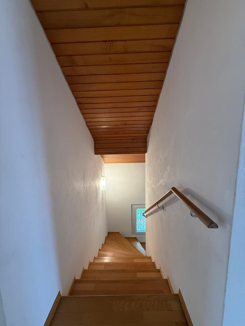 Magnifique villa 6.5 pièces à Blonay - Saint-Légier avec vue panoramique (16)