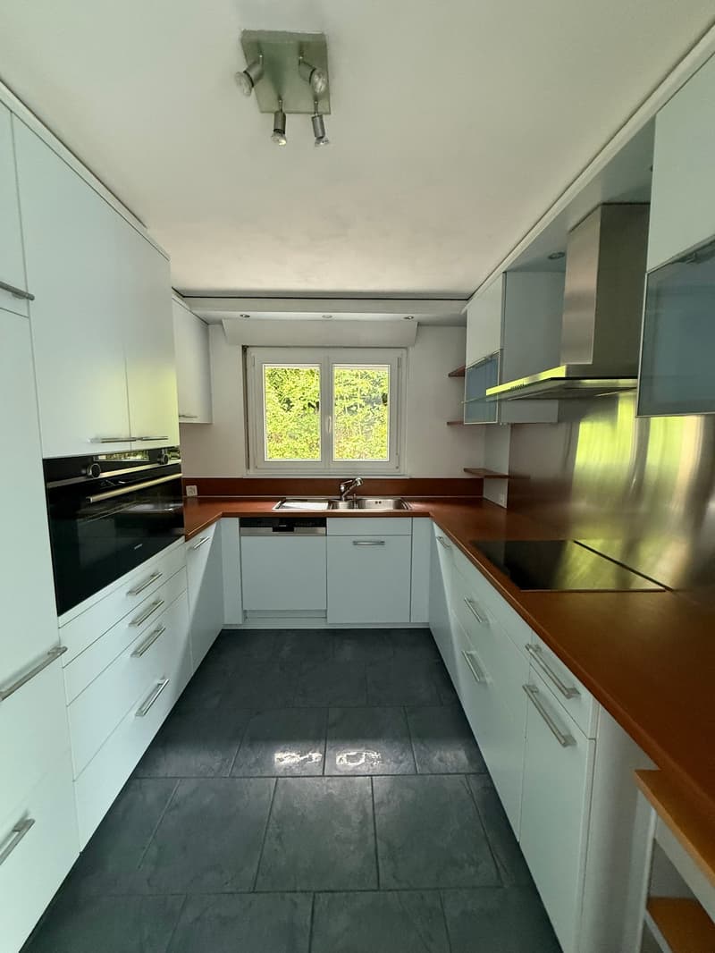 Magnifique villa 6.5 pièces à Blonay - Saint-Légier avec vue panoramique (5)