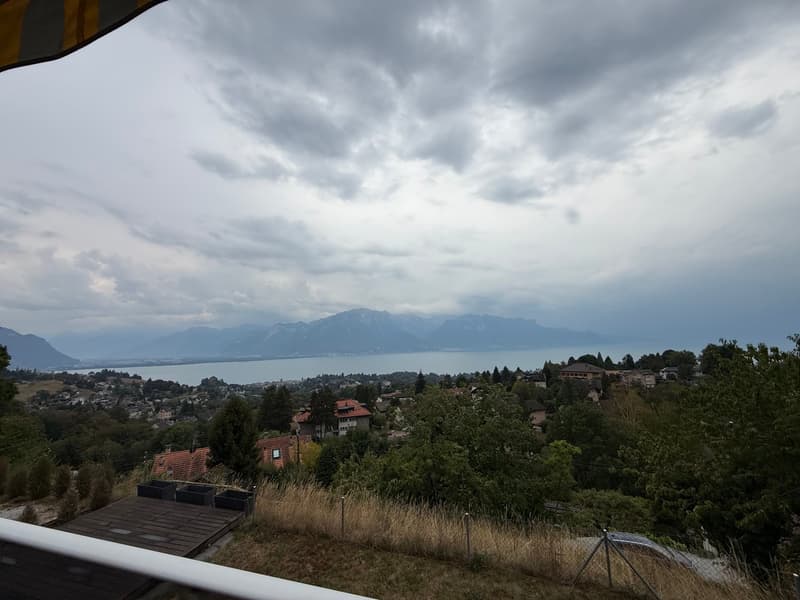 Magnifique villa 6.5 pièces à Blonay - Saint-Légier avec vue panoramique (12)