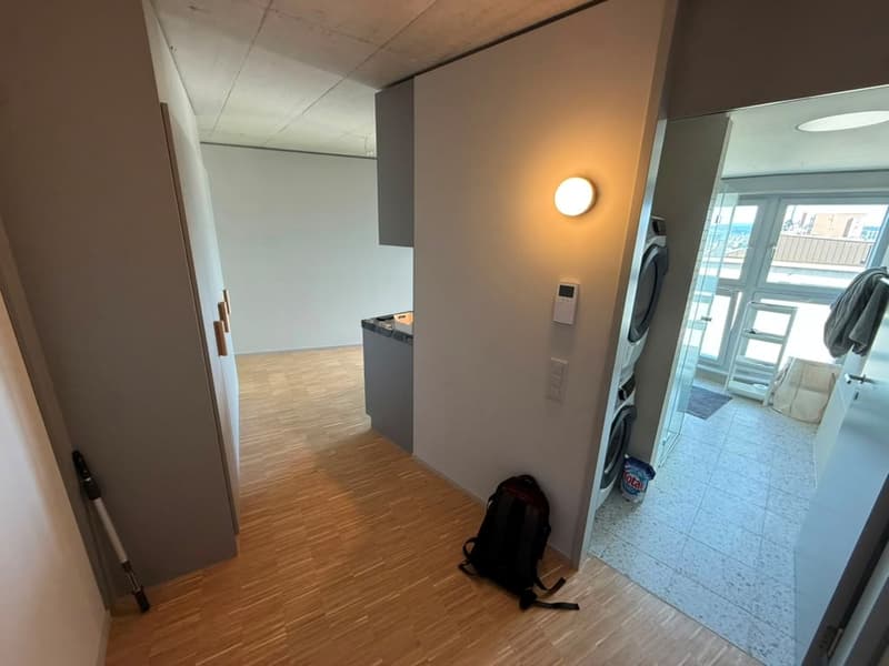 Stilvolles 2.5-Zimmer-Loft-Apartment auf der 9. Etage in Zürich-Triemli (4)