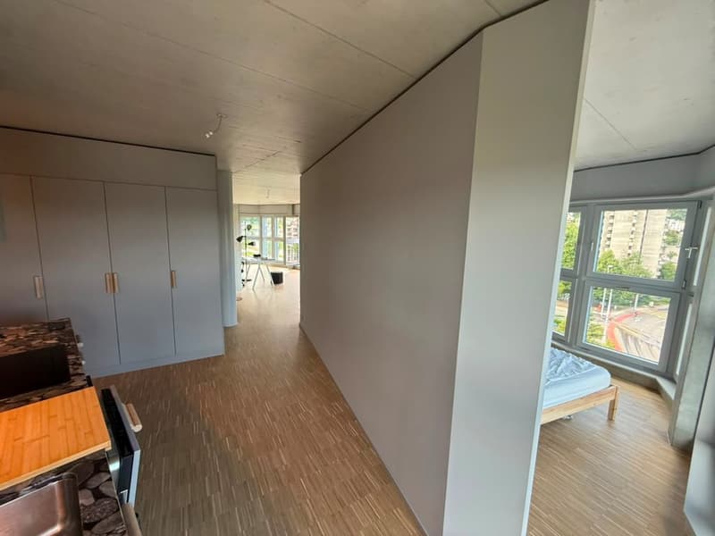 Stilvolles 2.5-Zimmer-Loft-Apartment auf der 9. Etage in Zürich-Triemli (9)